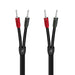 Audioquest Rocket 22 | Speaker Cable - 8 feet - BFAS-SONXPLUS Lac St-Jean