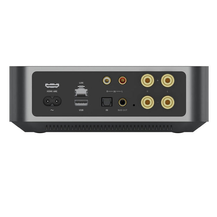 WiiM AMP | Streaming Audio - +60W 2-channel class D amplifier-Sonxplus Lac St-Jean