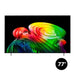 LG OLED77B6GUA | 77" OLED TV - 120Hz (144Hz VRR) - B6 Series - ThinQ AI - Dolby Atmos | 01 | Sonxplus Lac St-Jean