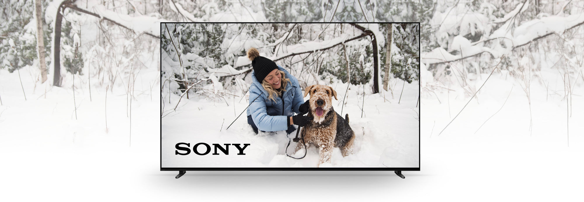 Sony | SONXPLUS Lac St-Jean