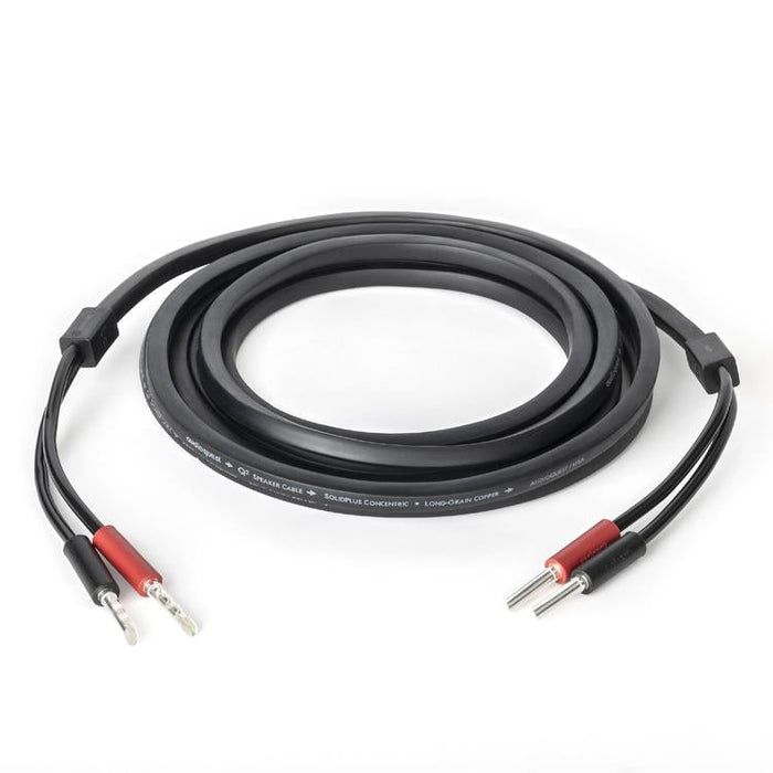 Audioquest Q2 | Speaker Cable - Long Grain Copper (LGC) inner conductor - 10 Feet-Sonxplus Lac St-Jean