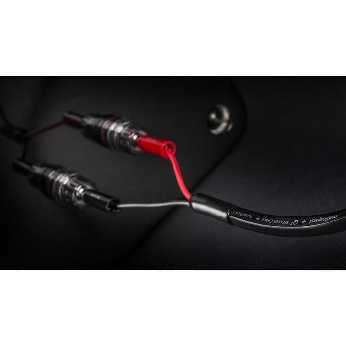 Audioquest Q2 | Câble haut-parleur - Conducteur interne en cuivre à grain long (LGC) - 10 Pieds-SONXPLUS Lac St-Jean